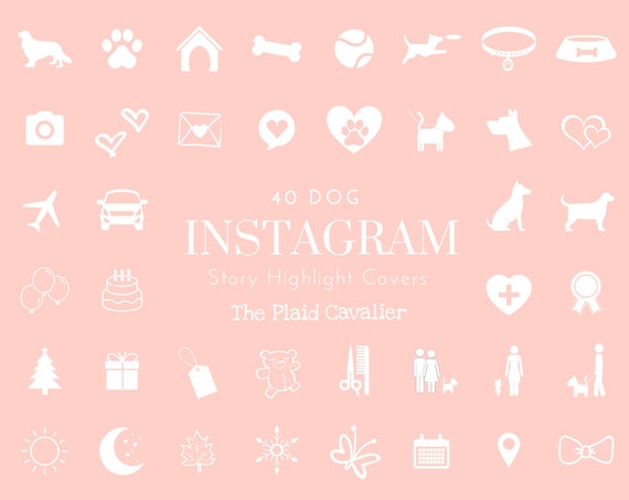 highlight hintergrund instagram rosa
