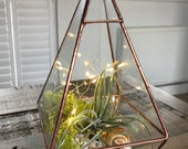 Geometric air plant terrarium, air plant DIY. Indoor plant. Copper pyramid glass terrarium