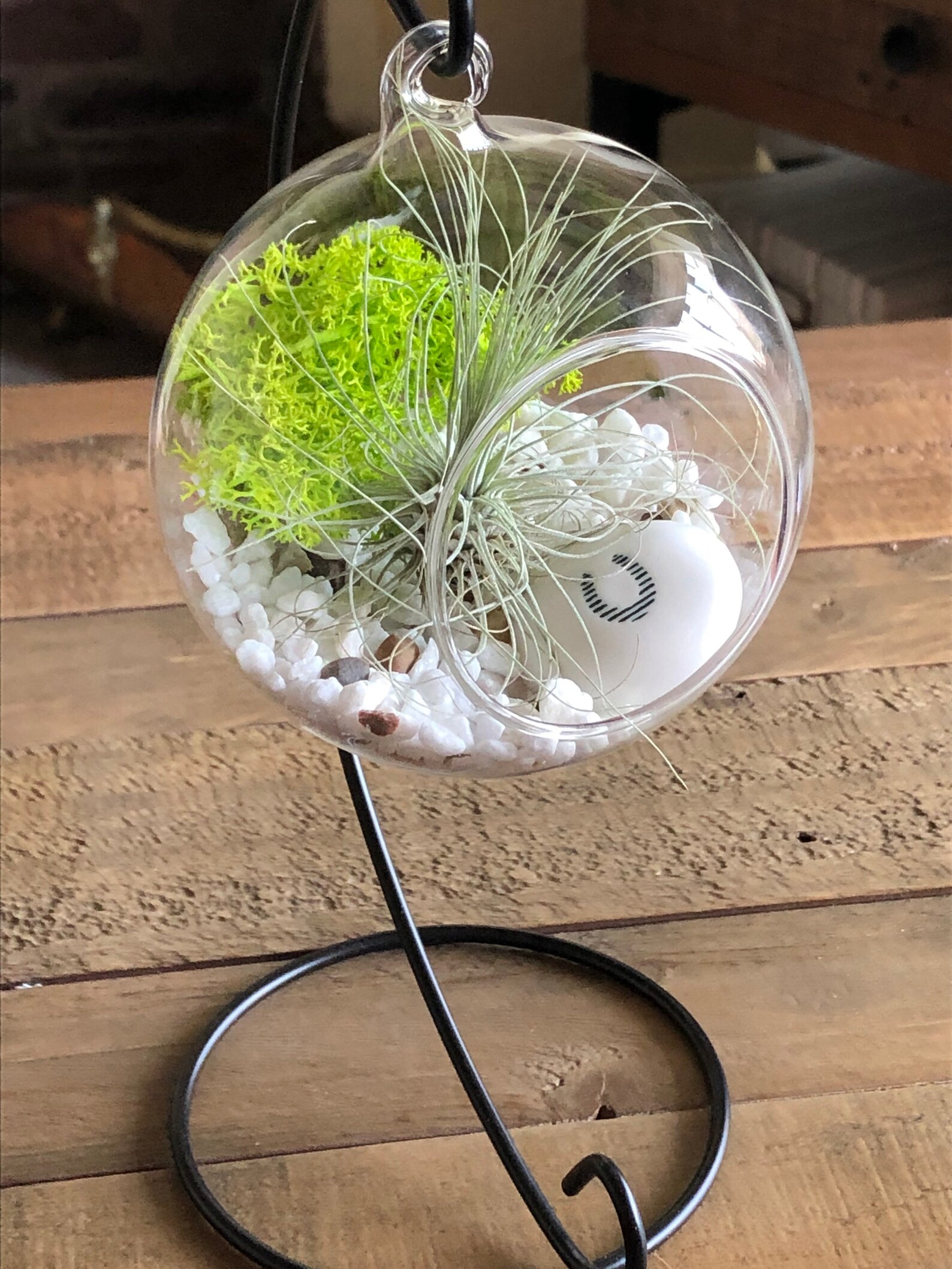 DIY terrarium air plant kit mr and mrs gift. Wedding