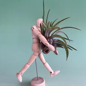 May include: A wooden artist's mannequin holding a green air plant. The mannequin is depicted in a walking pose, supported by a metal rod and a wooden base. The background is a solid, light green colour.