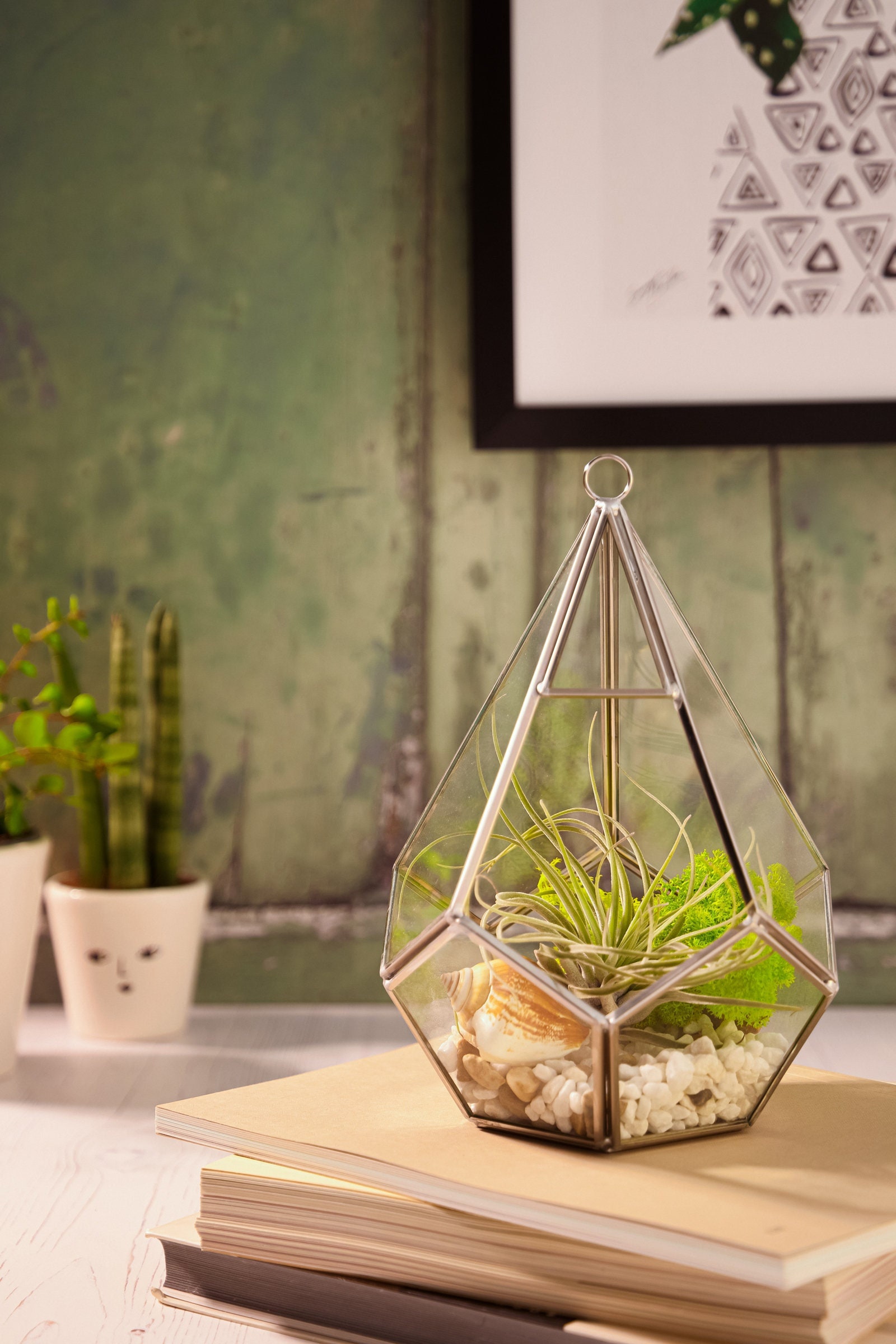 Teardrop Terrarium UK