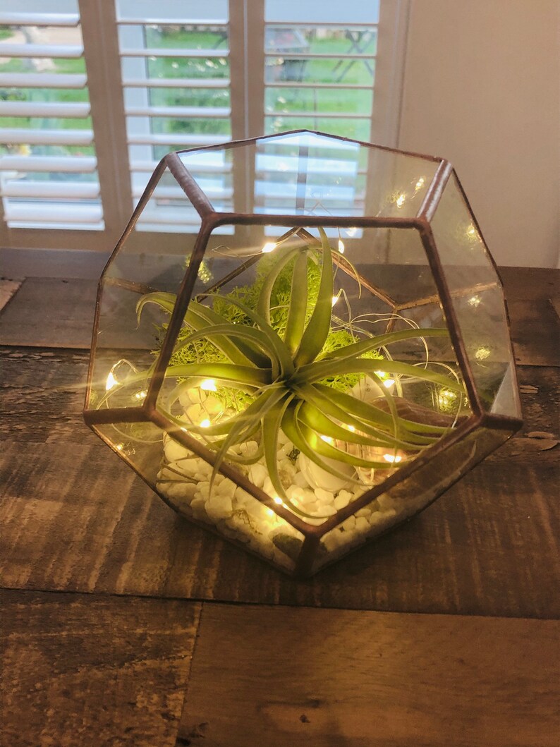 DIY Terrarium Air Plant Kit. Geometric Terrarium Glass Etsy
