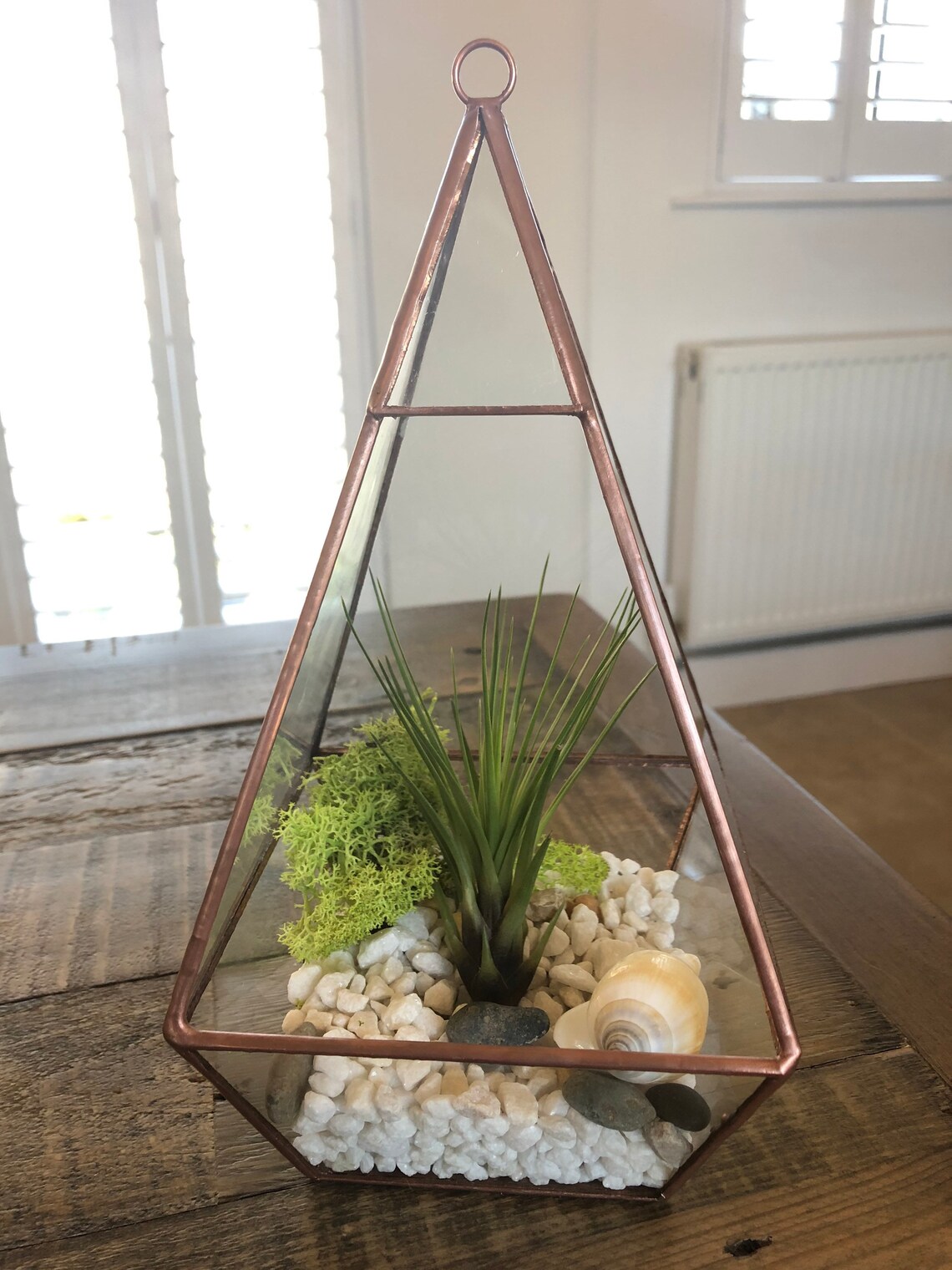 Geometric air plant terrarium. Copper pyramid glass terrarium. Etsy