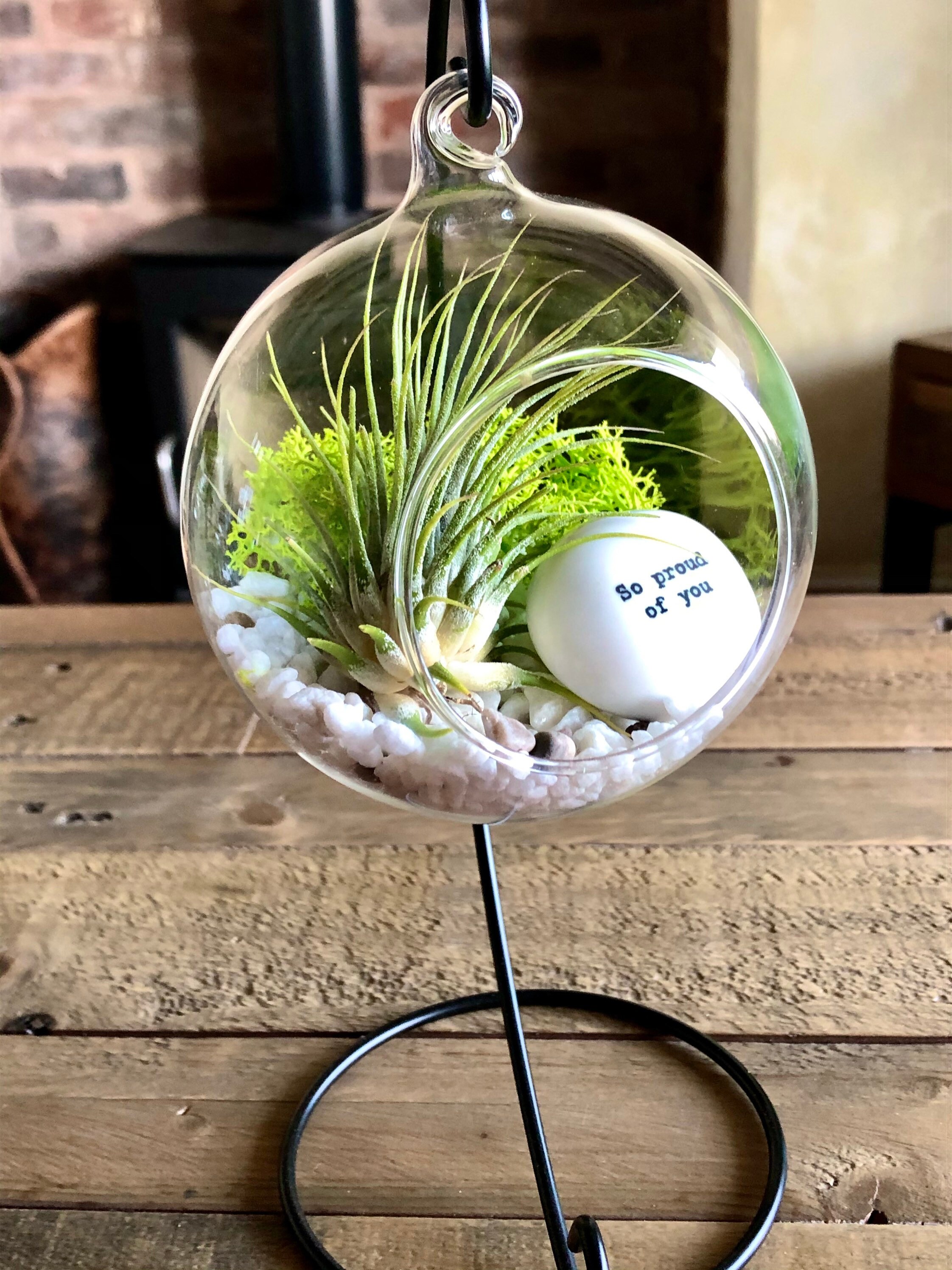DIY Terrarium Air Plant Kit proud of You Gift. Tillandsia Etsy UK