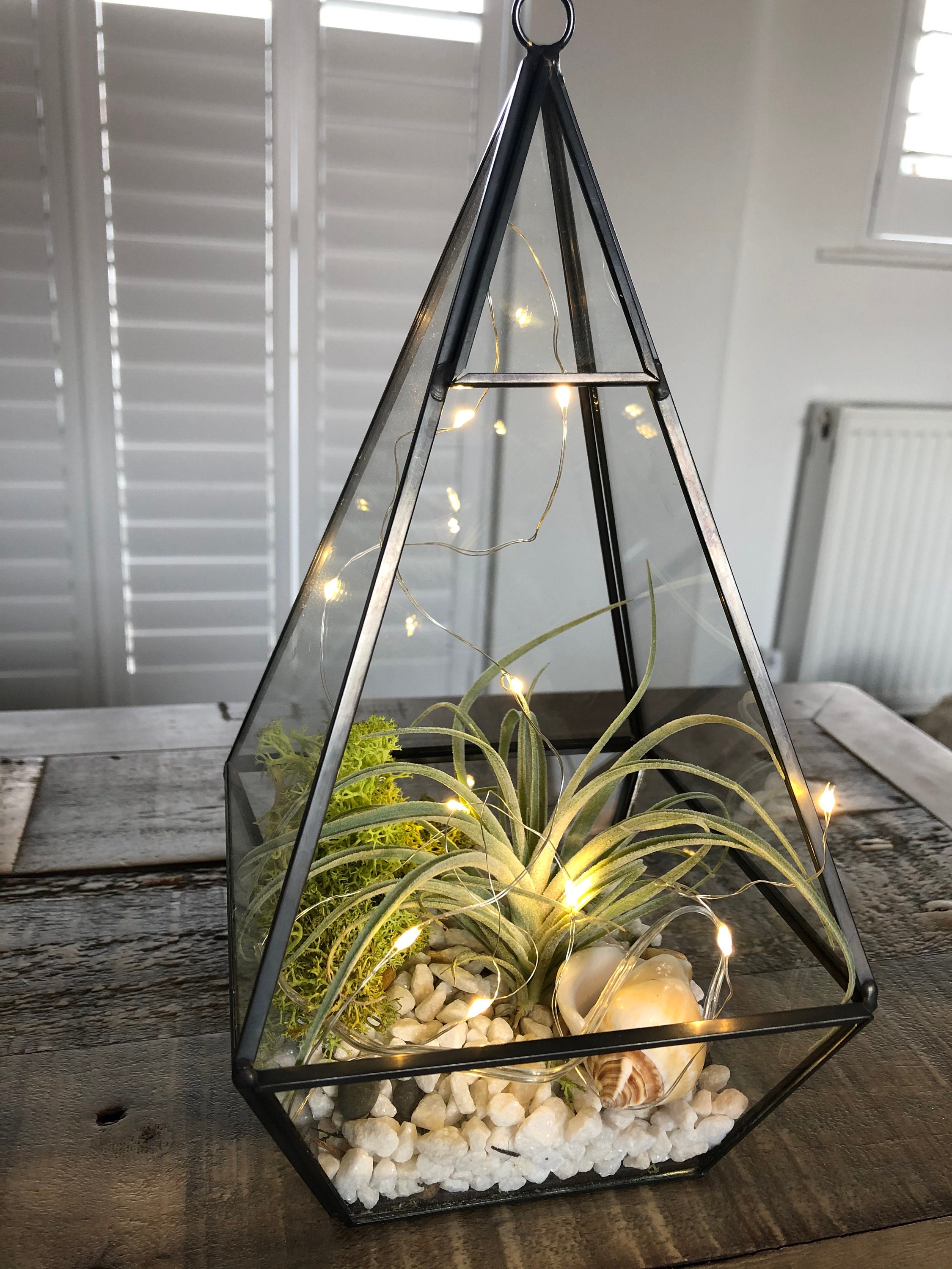 Terrarium à plantes aériennes bricolage, terrarium en verre, avec lumières  LED, cadre en bronze. Présentoir de plantes aériennes avec plante de  terrarium. Cadeau de Noël -  France