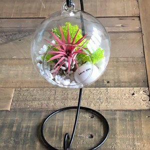 DIY terrarium air plant kit, glass with a stand. I love you, gift for wife, girlfriend. Romantic gift. Valentine’s Day gift.