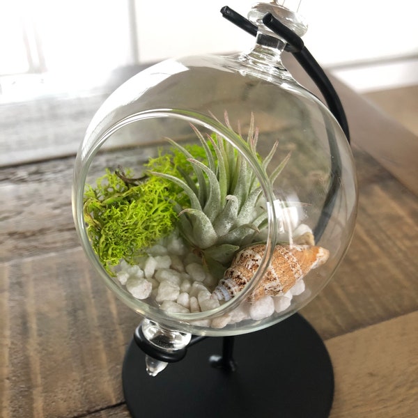 Terrario de planta de aire en miniatura, terrario DIY, planta de aire, planta de aire colgante, terrario colgante, globo de vidrio, atlas de vidrio, portaplantas. Regalo