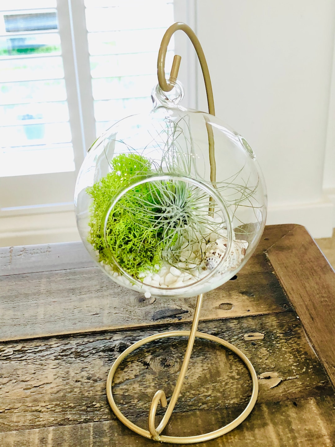 DIY Terrarium Air Plant Kit, Glass With a Stand. Plant Hanger. Glass Terrarium With Plant Stand