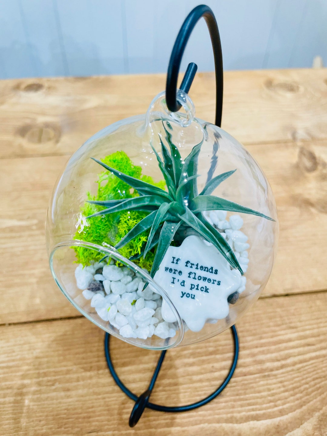 DIY Terrarium Air Plant Kit With Porcelain Stone for Friends. Best Friend Gift, Special Friend
