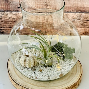 Large round glass terrariums . Light up terrarium kit. Open terrarium. Fairy lights. Air plant terrarium, Unique Mother’s Day gift