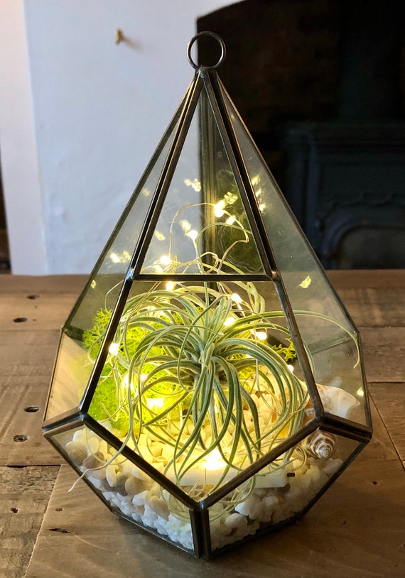 DIY Air Plant Terrarium, Glass Terrarium, With LED Lights, Bronze Frame.  Valentine Gift, Unusual Gift. Christmas Gift/ Stocking Filler -  Israel