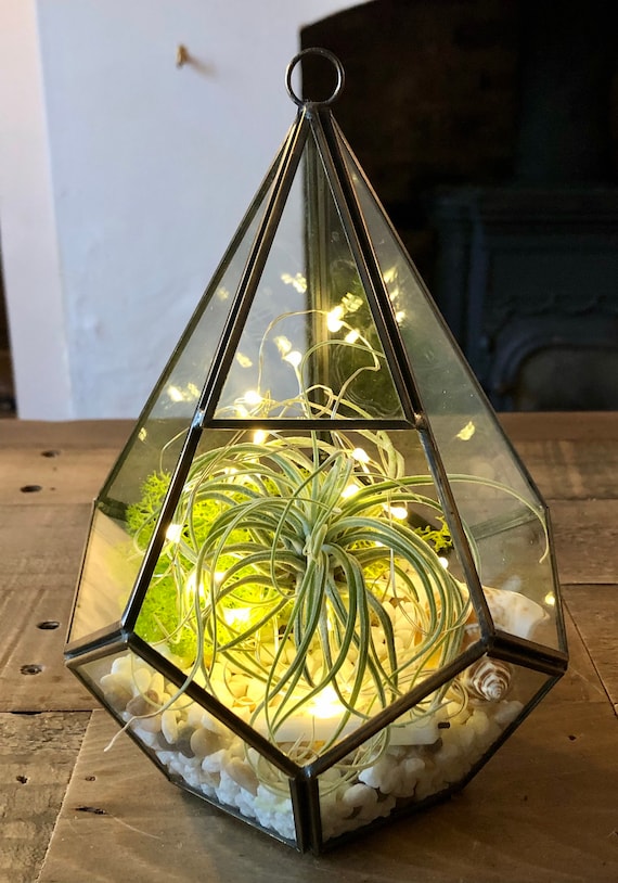 Unusual sale led lights