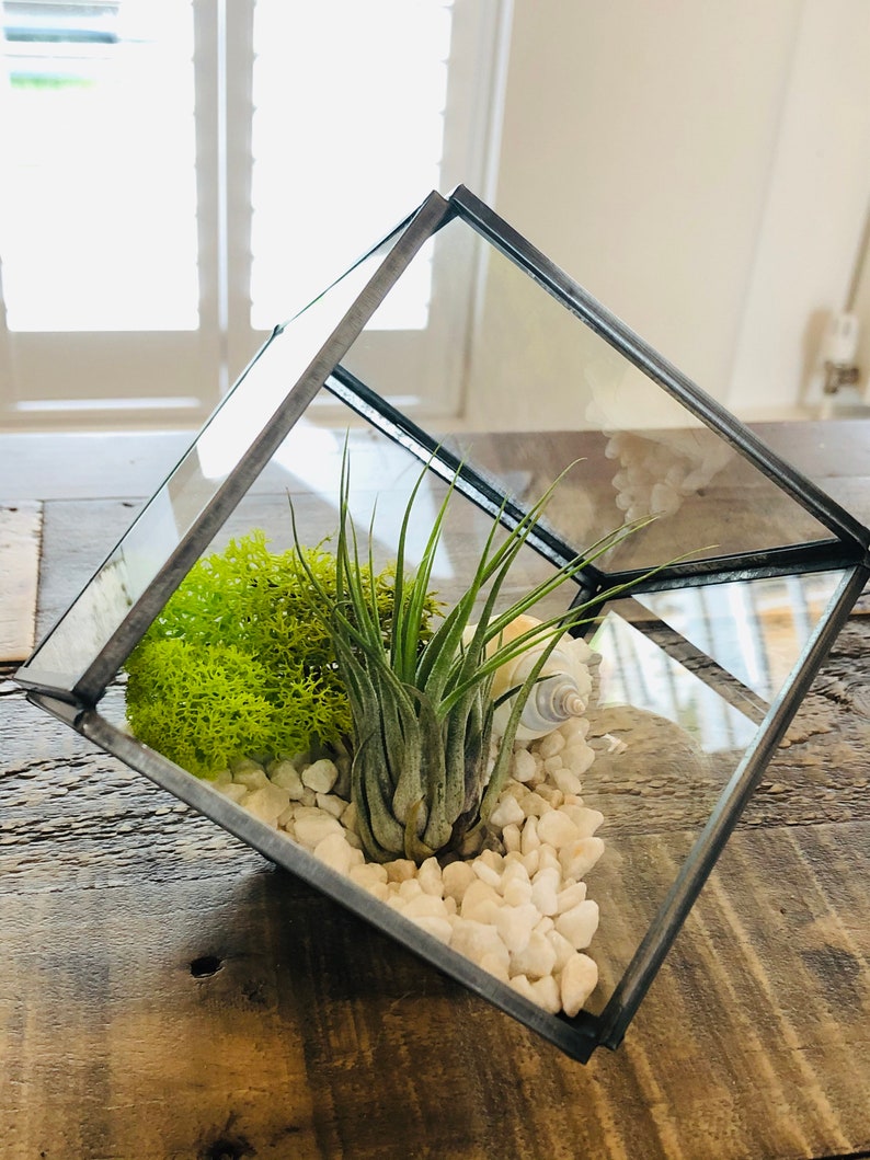 DIY glass air plant terrarium square cube geometric. Etsy