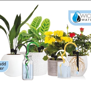 May include: Four potted plants with self-watering spikes. The plants are a green and yellow striped plant, a green plant with long leaves, a yellow and white flowering plant, and a red flowering plant. The text "WICKED WATERER" is on a blue drop-shaped background. The text "Just add water" is on a blue background.