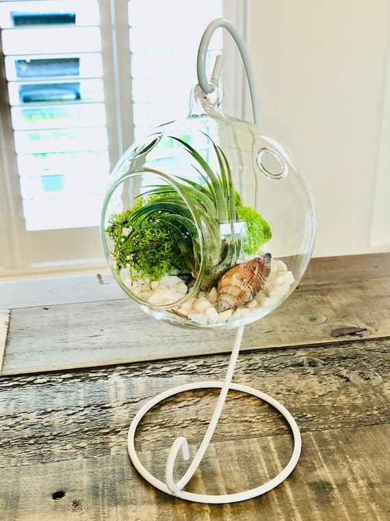 Support Suspendu Pour Terrarium - Porte-ornement En Fer 23x10cm Blanc Ou Noir