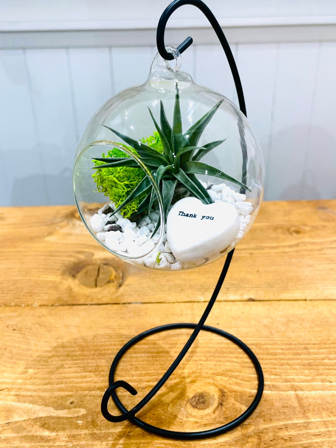 DIY Terrarium Air Plant Kit With Porcelain Stone Message thank You. Unusual Thank You Gift