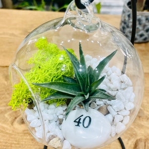 DIY terrarium air plant kit, birthday gift for 40 year olds. Forty birthday. 40th birthday gift. Air Plant Terrarium present.