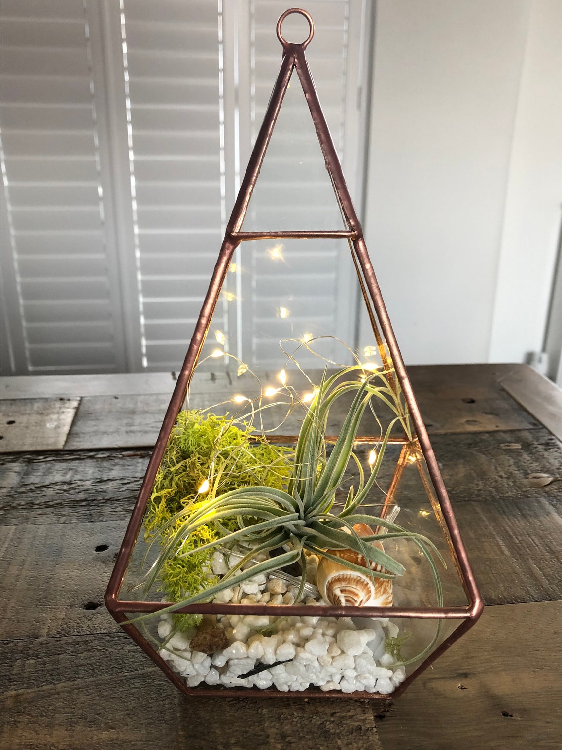 Geometric air plant terrarium. Copper pyramid glass terrarium. Etsy