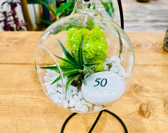 Kit de plantes aériennes pour terrarium, cadeau d'anniversaire pour les personnes de 50 ans. Cinquante ans. Cadeau 50e anniversaire. Terrarium pour plantes aériennes présent. Cadeau plante