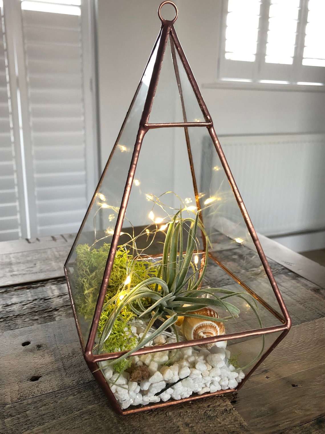 Geometric air plant terrarium. Copper pyramid glass terrarium. Etsy