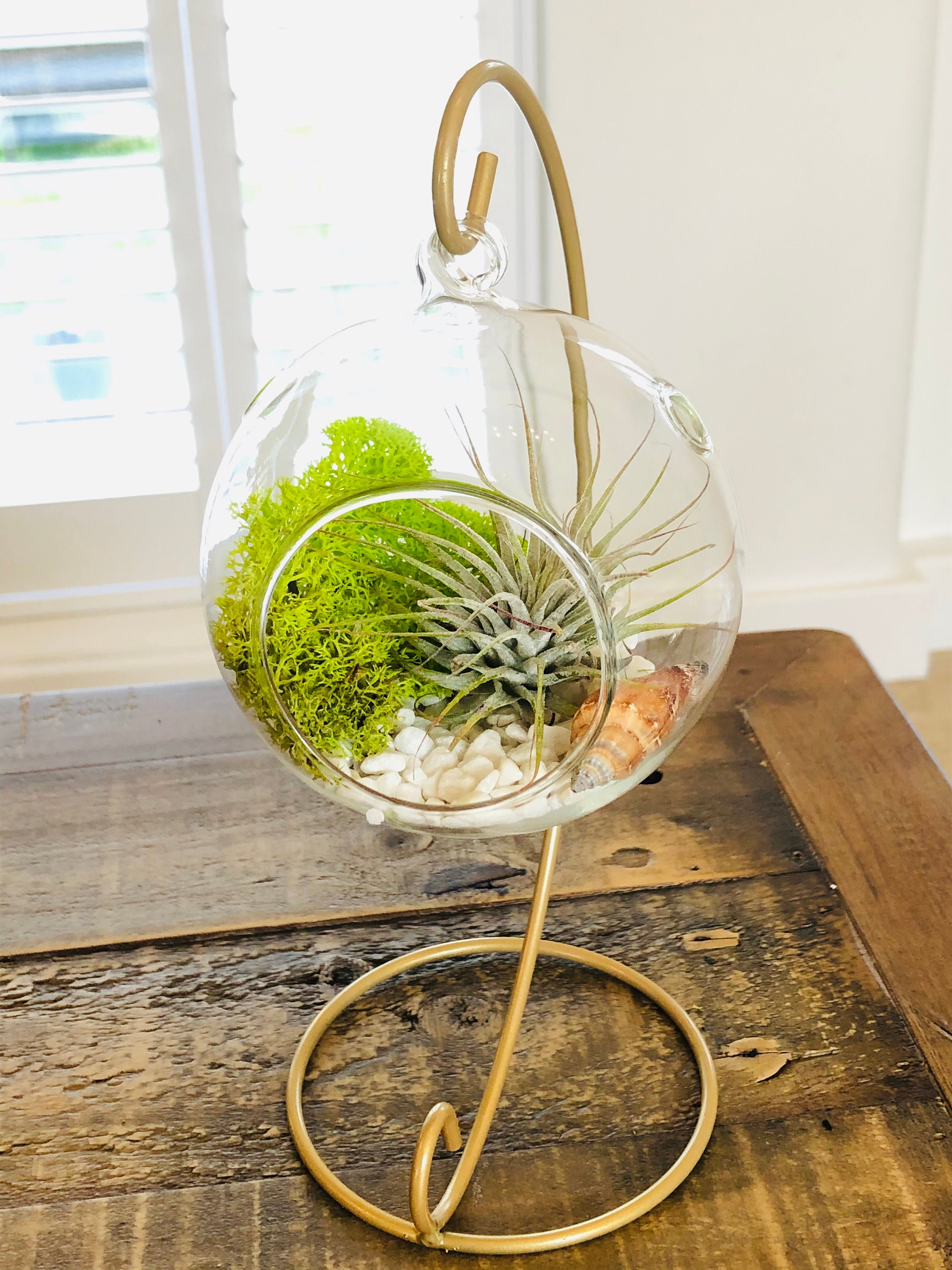 DIY Terrarium Air Plant Kit Glass With a Stand. Plant Hanger. Etsy UK