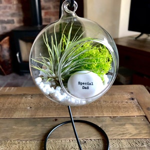 DIY terrarium air plant kit, ‘Special Dad’ gift.  Air plant terrarium. Birthday gift, Father’s Day gift, gift for dad. Plant holder.