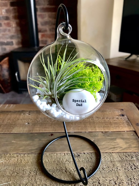 DIY Terrarium Air Plant Kit, 'special Dad' Gift. Air Plant Terrarium.  Birthday Gift, Father's Day Gift, Gift for Dad. Plant Holder. - Etsy