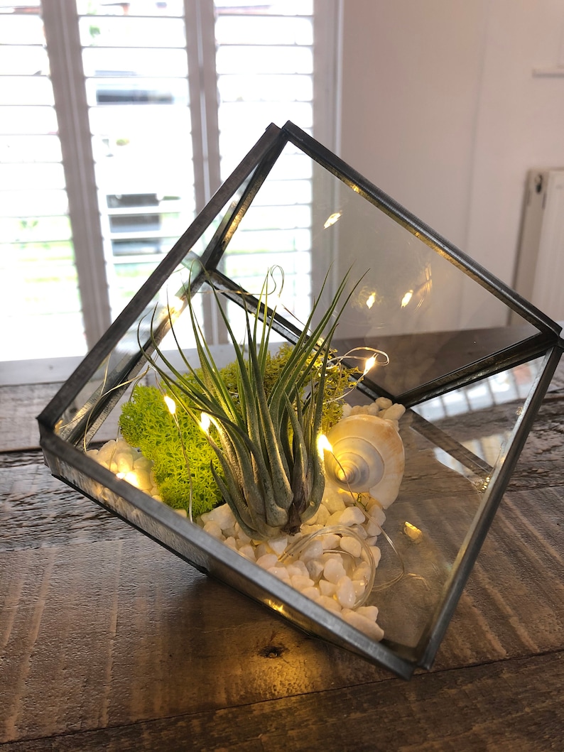 DIY Glass Air Plant Terrarium Square Cube Geometric. Air Etsy