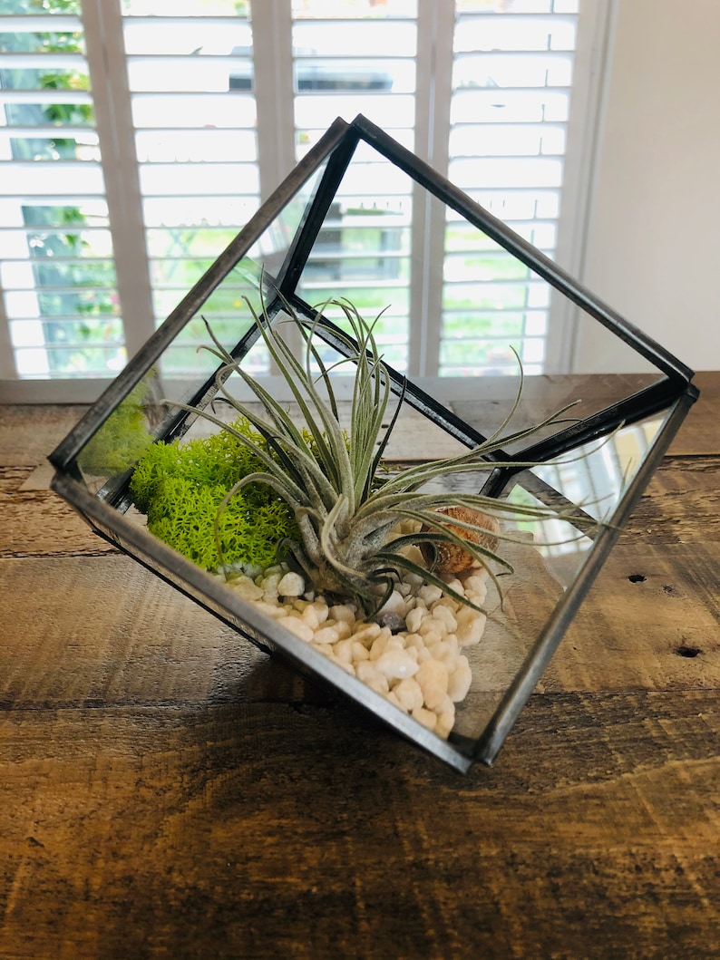 DIY Glass Air Plant Terrarium Square Cube Geometric. Air Etsy