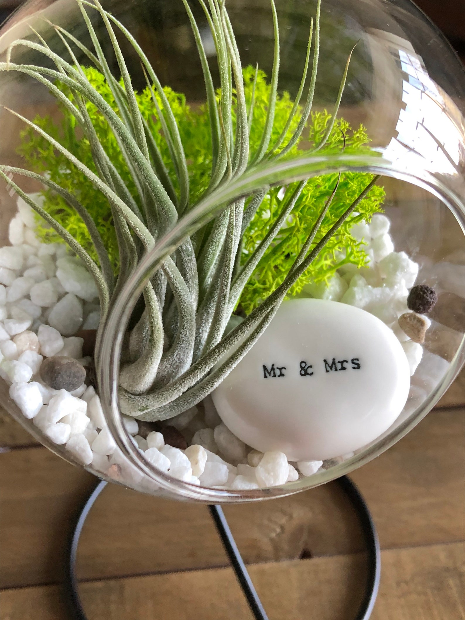 DIY Terrarium Air Plant Kit Mr and Mrs Gift. Wedding Present Etsy UK