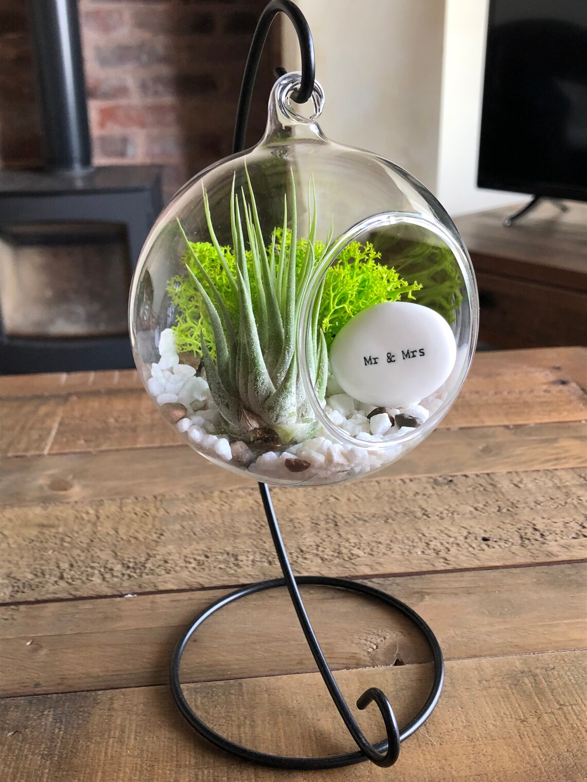 DIY terrarium air plant kit mr and mrs gift. Wedding present Etsy