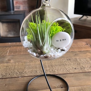 DIY terrarium air plant kit, mr and mrs gift. Wedding present, wedding keepsake, marriage. Tillandsia gift. Unique wedding gift. Terrarium