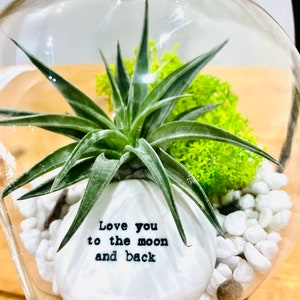 DIY terrarium air plant kit with porcelain stone message ‘love you to the moon and and back’ Plant gift. Love you gift. Valentine gift