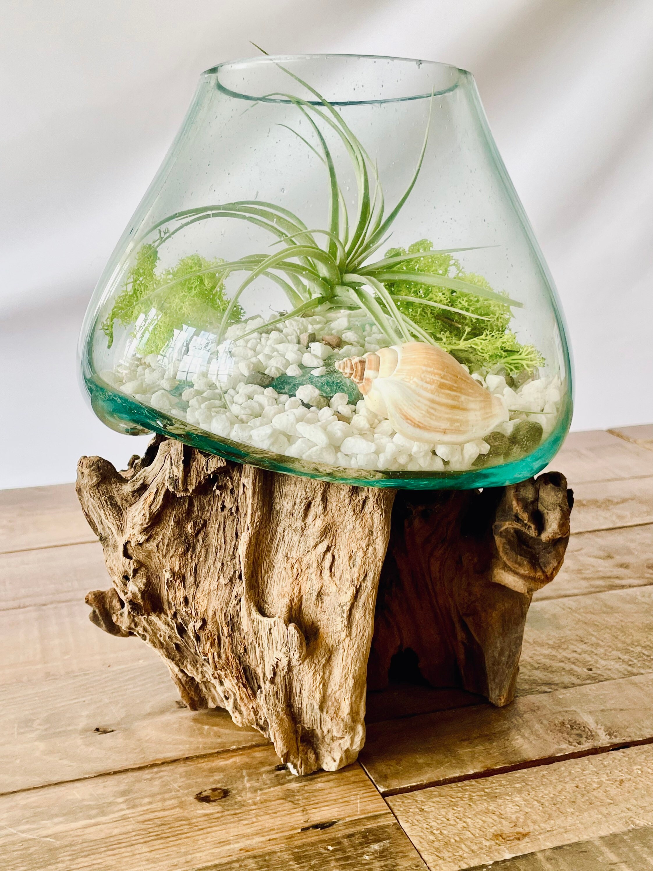 Molten Glass on Wood Root Base DIY Plant Terrarium With Air - Etsy UK