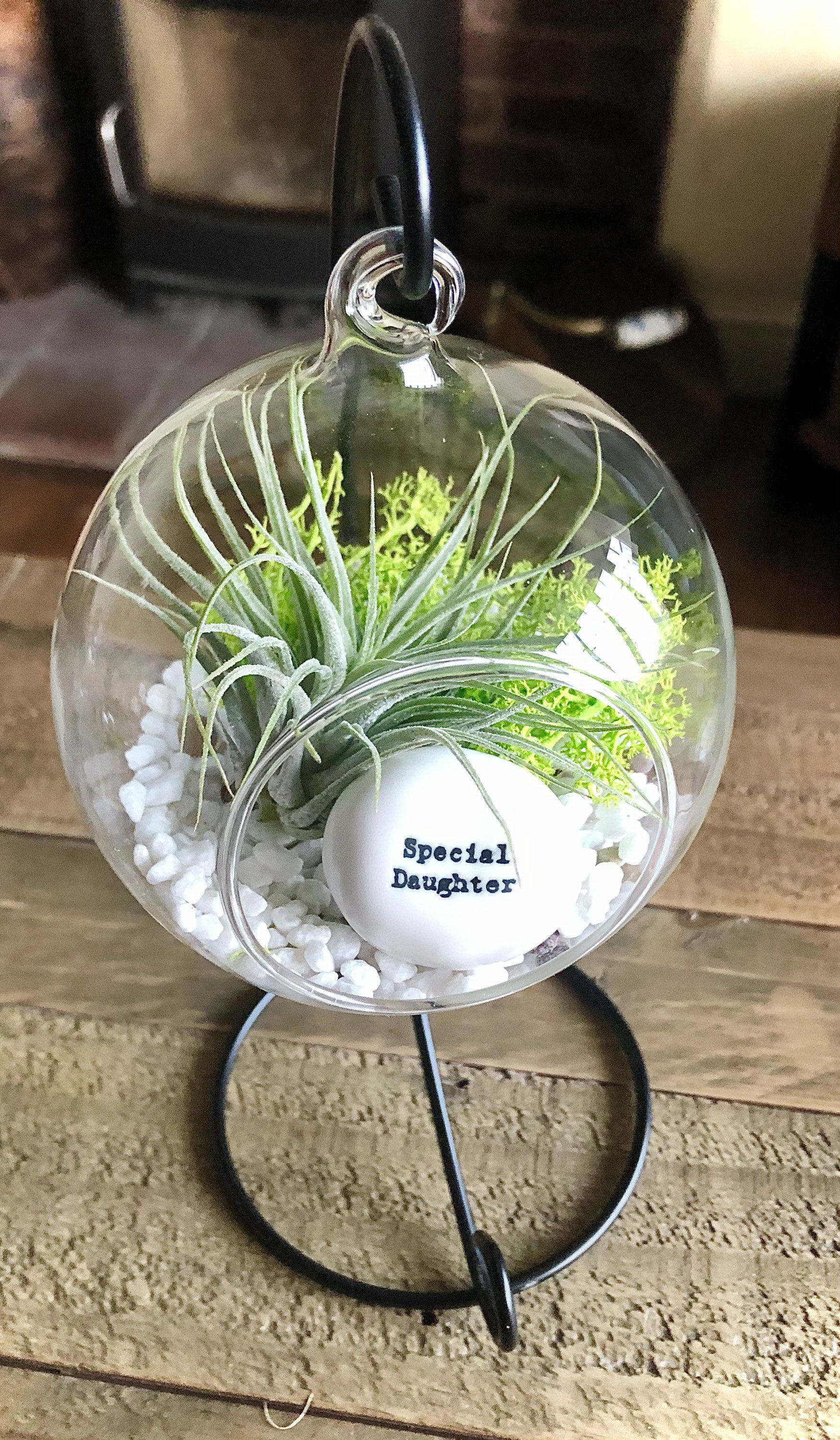 DIY Terrarium Air Plant Kit special Daughter Gift. Air Etsy UK