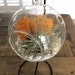 see more listings in the Terrariums on stands section