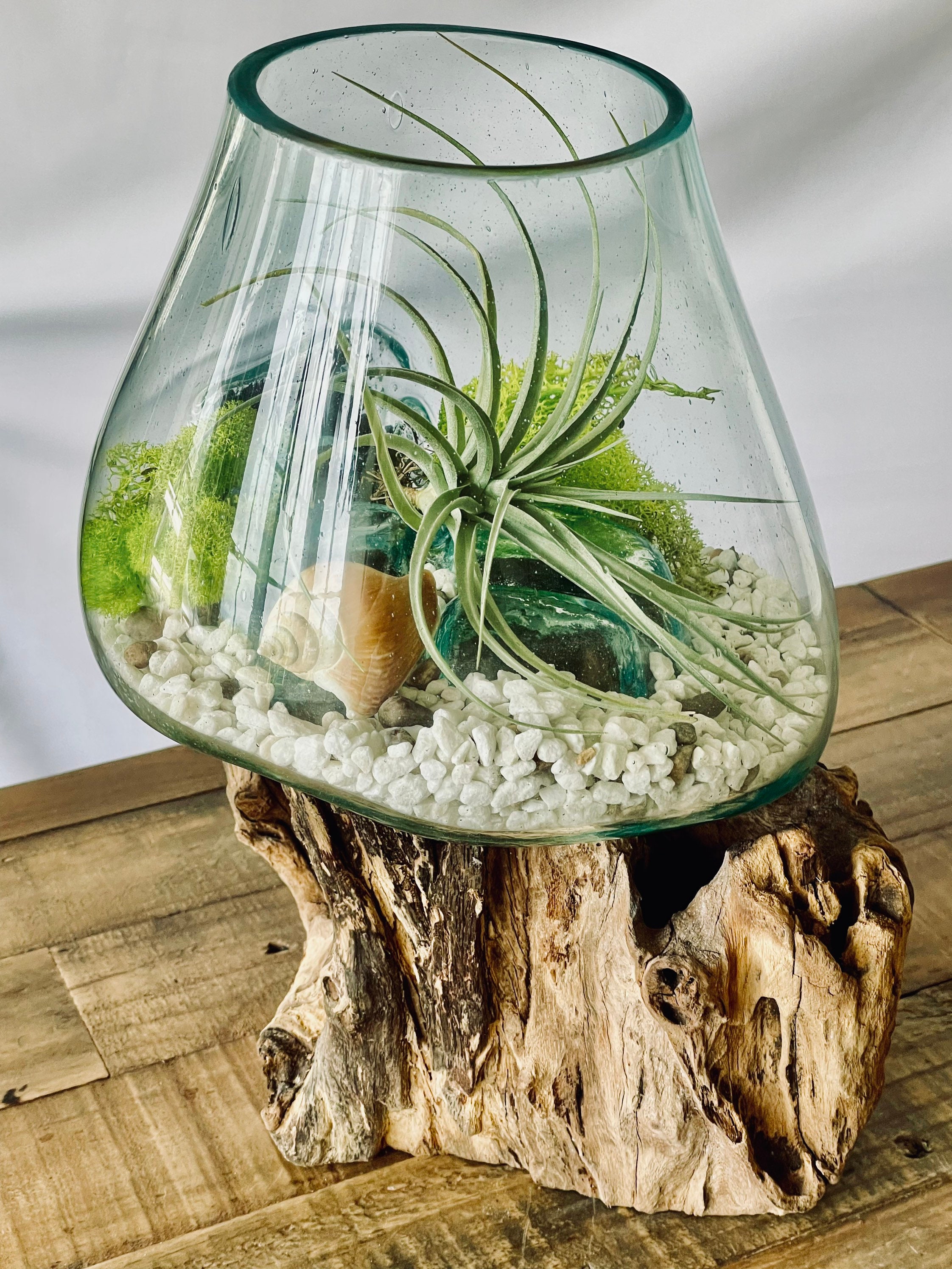 Extra large molten glass on wood root base DIY plant Etsy