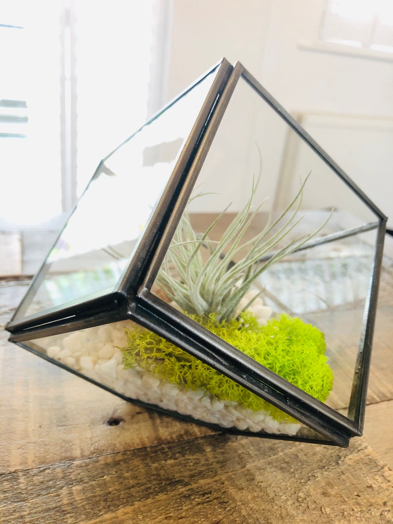 DIY Glass Air Plant Terrarium Square Cube Geometric. Air Etsy UK