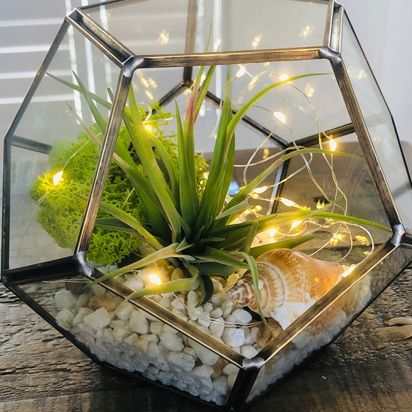 Terrarium Etsy UK