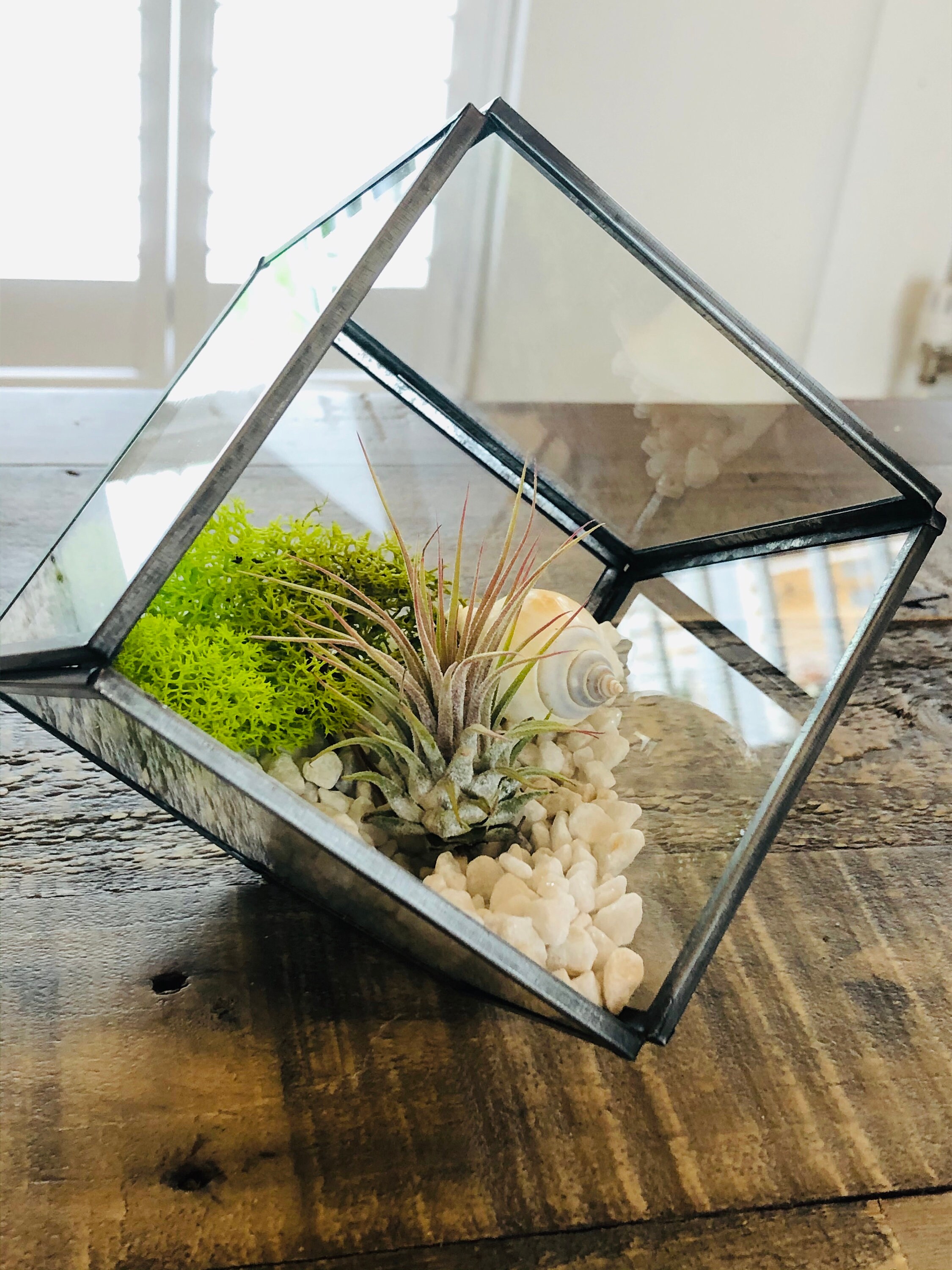 DIY glass air plant terrarium square cube geometric. Etsy