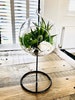 DIY terrarium air plant kit, glass with a stand. Air plant in glass terrarium. Hanging glass air plant. Open terrarium.  Terrarium kit 