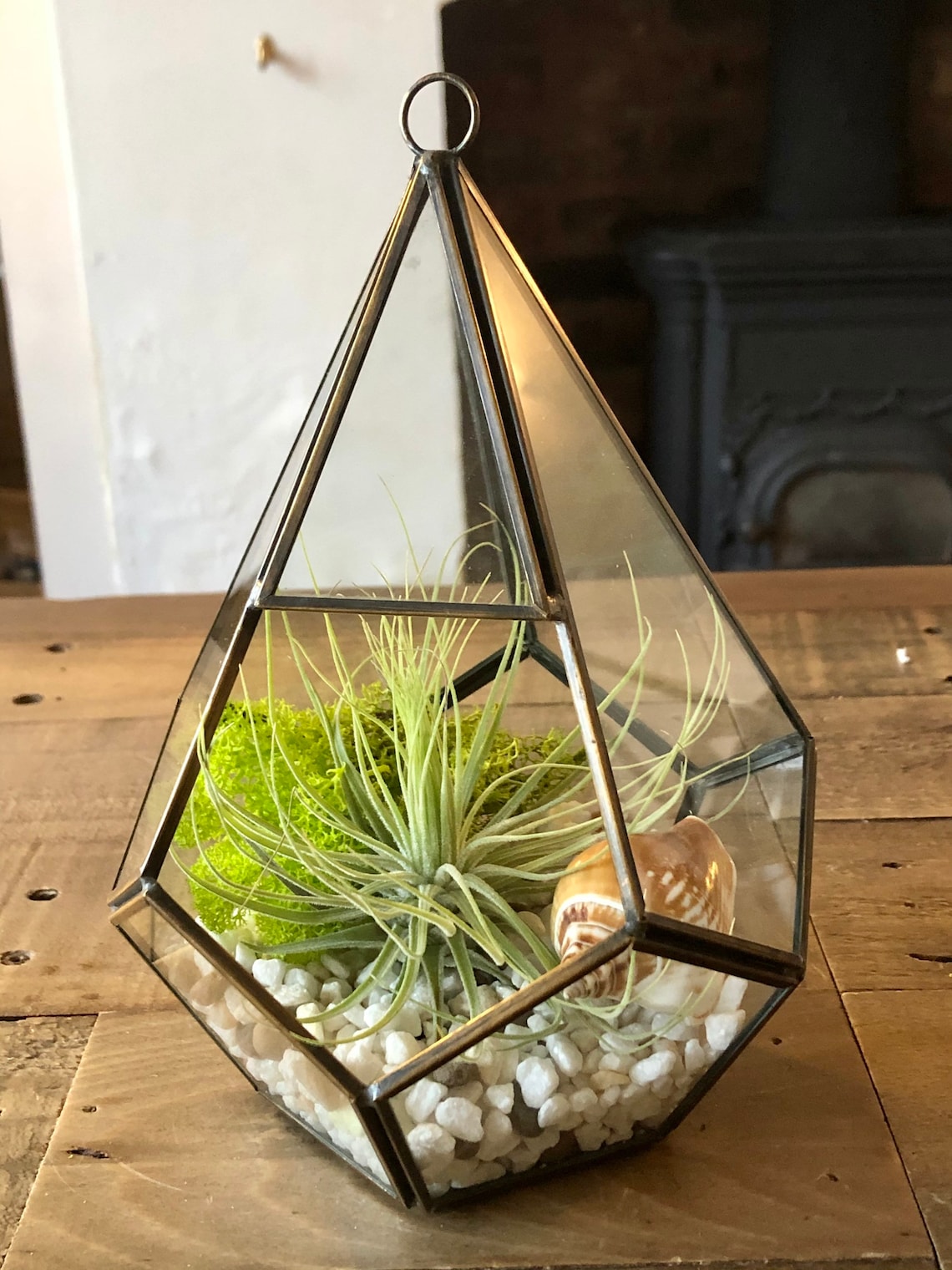 DIY air plant terrarium glass terrarium with LED lights Etsy