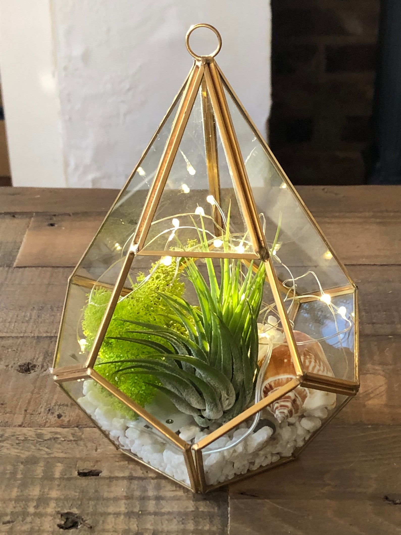 DIY air plant terrarium geometric gold terrarium. Air plant Etsy
