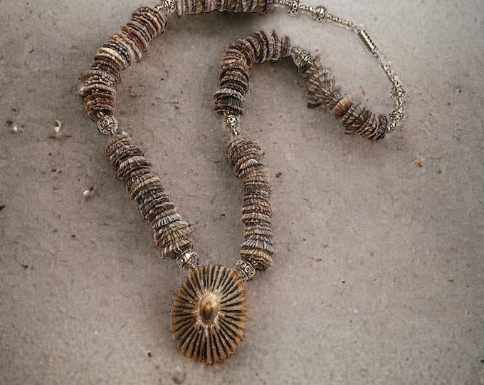 Featured listing image: Hawaiian False Opihi Shells Necklace