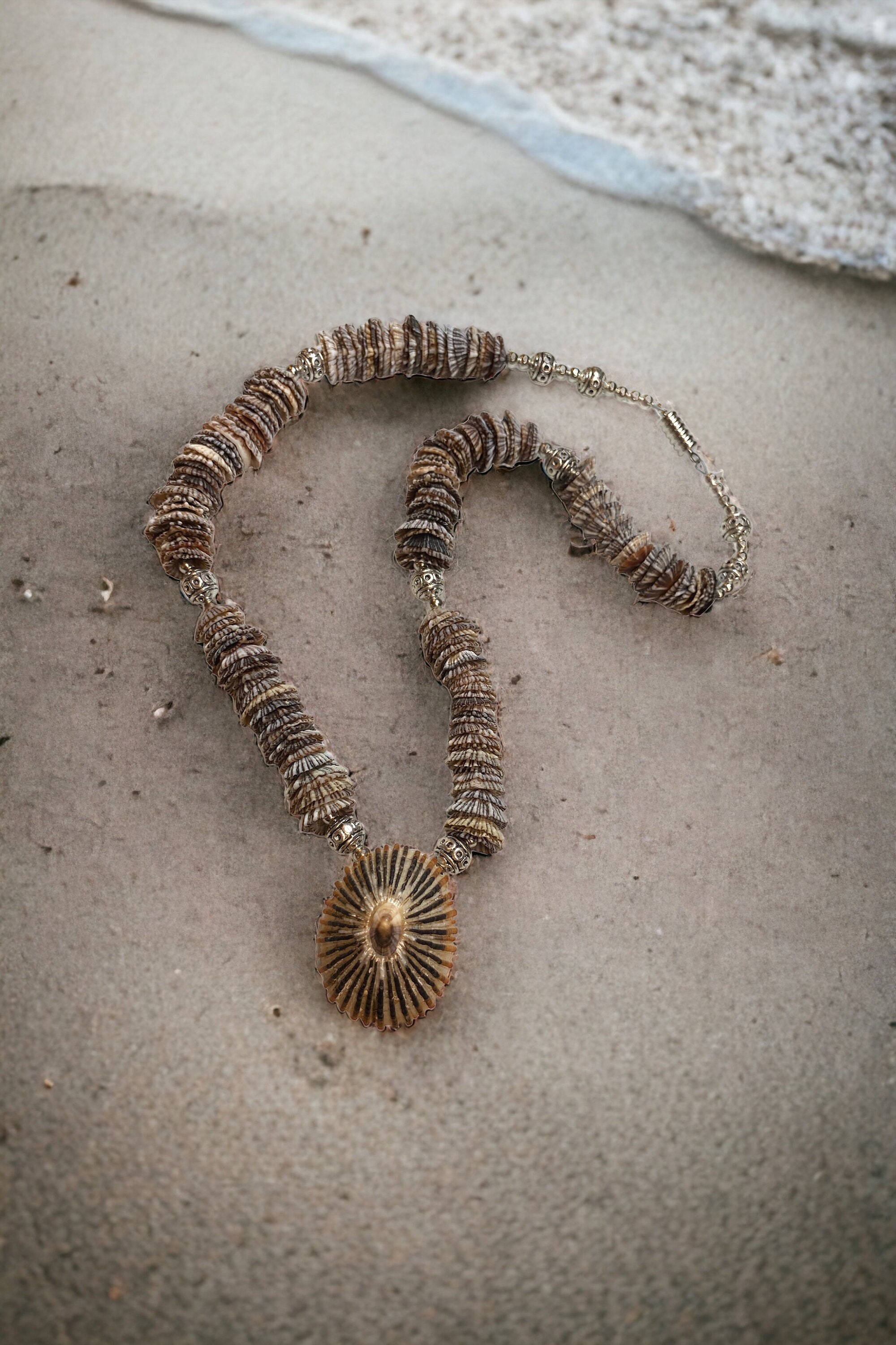 Opihi 2024 shell necklace