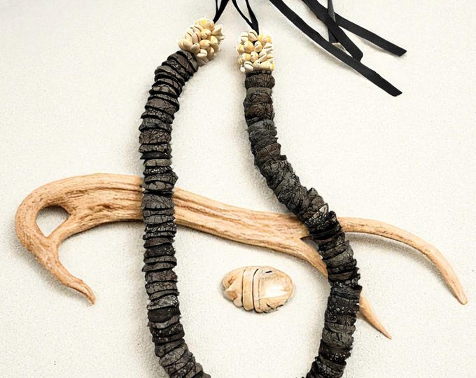 Featured listing image: Hawaiian Half Natural Kukui Nut Lei