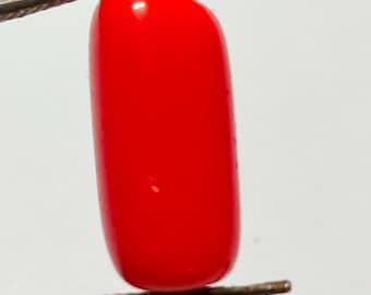 Natural Red Italian Coral Cabochon Loose Gemstone N44-6