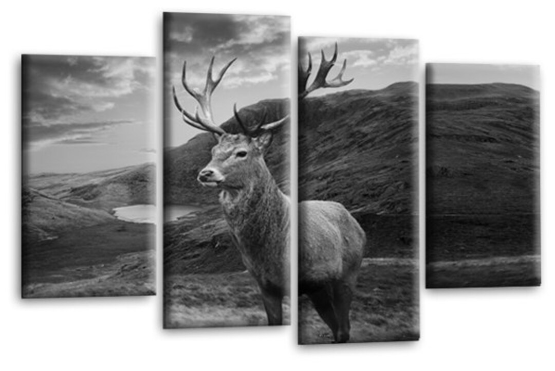 Highland Stag Wall Art Print Scottish Deer Animal Framed Split Etsy UK