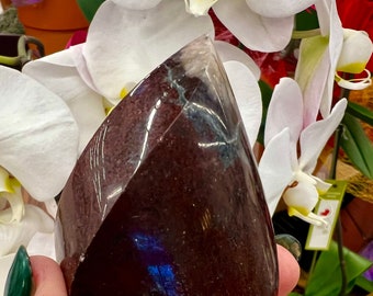 Rare L Red Jasper Flame with Quartz Tip - Sacral Chakra Brazil Crystal, High Grade