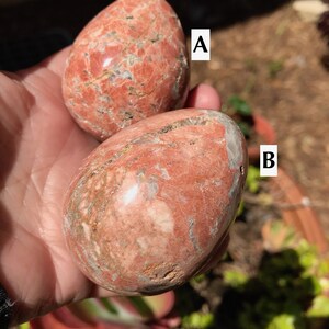 May include: Two red and white polished gemstone eggs, labeled A and B. The eggs are smooth and have a marbled pattern.